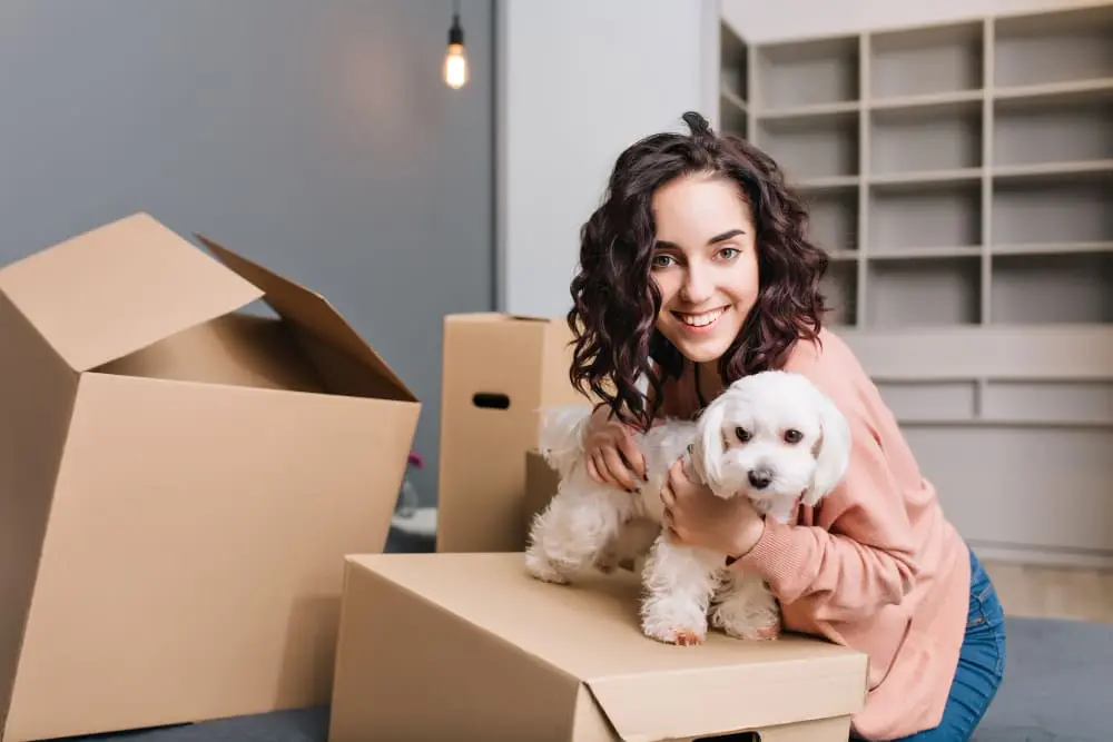 Pet Relocation in Dubai Expert Services for a Hassle-Free Move