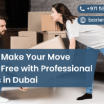 How to Make Your Move Stress-Free with Professional Movers in Dubai
