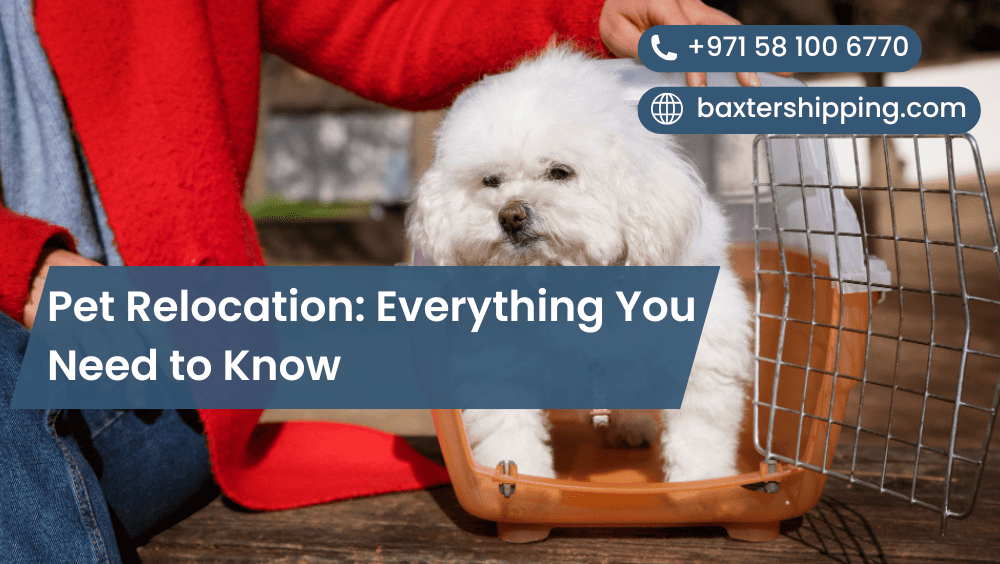 Pet Relocation: Everything You Need to Know