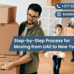 Step-by-Step Process for Moving from UAE to New York