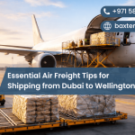 Essential Air Freight Tips for Shipping from Dubai to Wellington