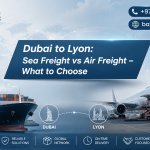 Dubai to Lyon Sea Freight vs Air Freight - What to Choose